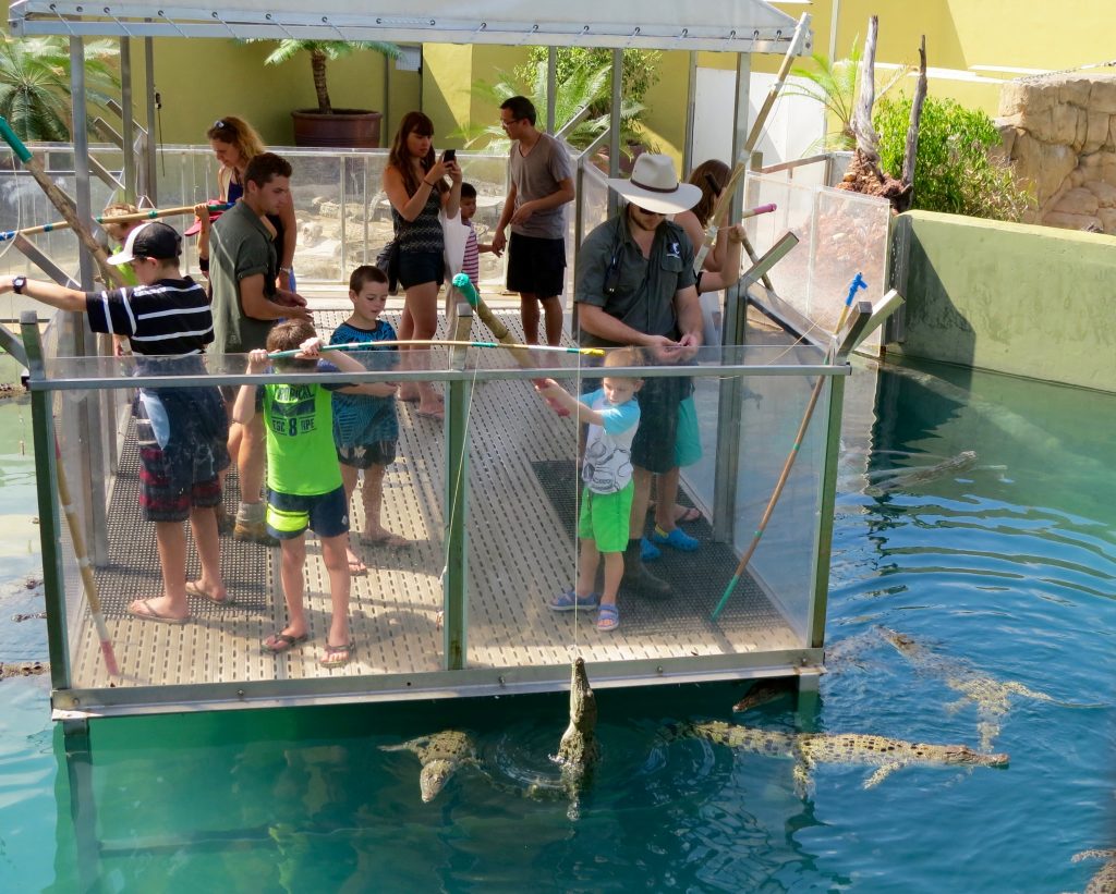 Fishing for crocs at Crocodiles Cove