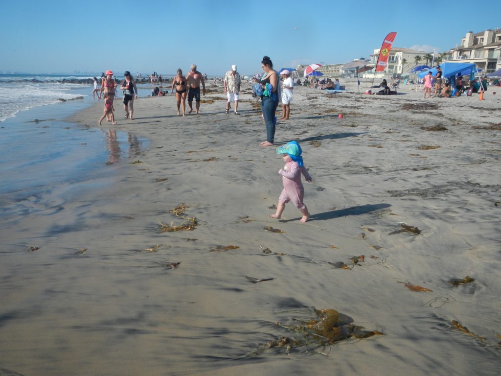 Imperial Beach - a beach holiday a hop skip and jump away from some of California's biggest family attractions