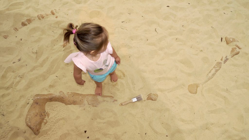 A dinosaur dig at the Pauline Gandel Children's Gallery